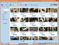 iVideo Converter screenshot